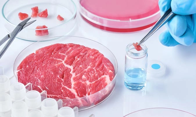 Cerai apuesta por la ganadería extensiva en contraposición a la carne de laboratorio