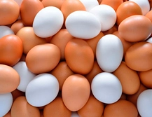 El huevo… un auténtico regalo de la naturaleza