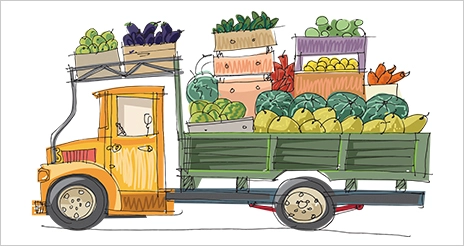Condiciones en el transporte de alimentos perecederos y su ámbito normativo